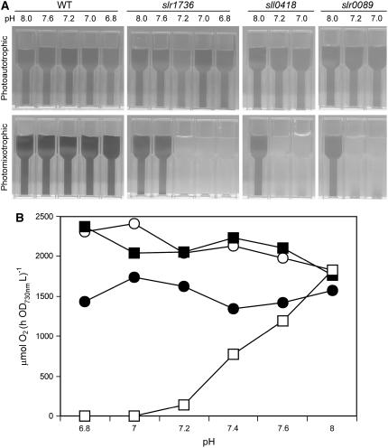 Figure 5.