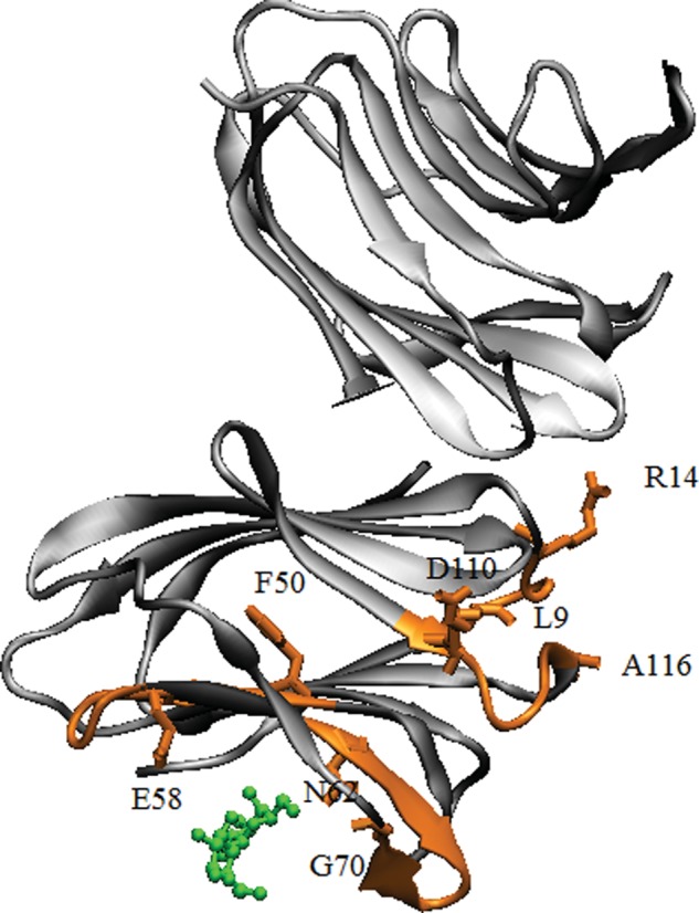 Fig. 11.