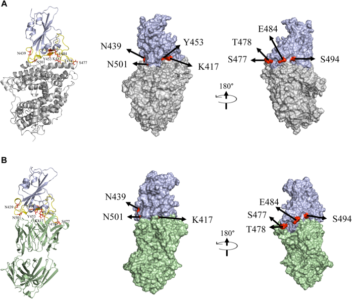 Figure 1