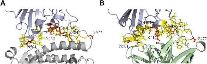 Figure 7