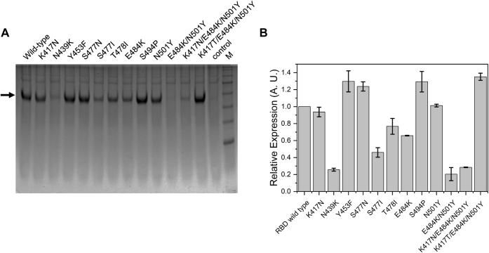 Figure 2