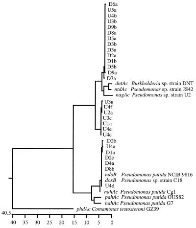 FIG. 5