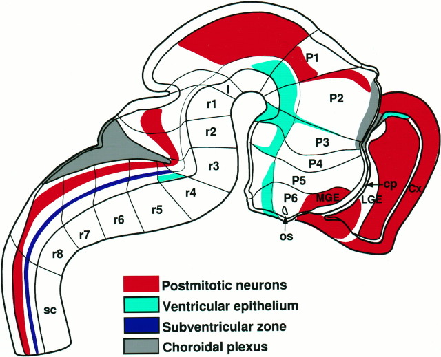 Fig. 7.