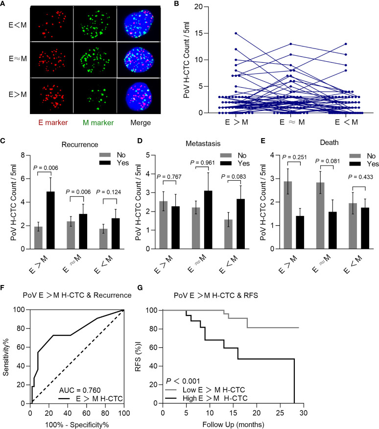 Figure 6