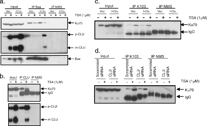 Fig. 6