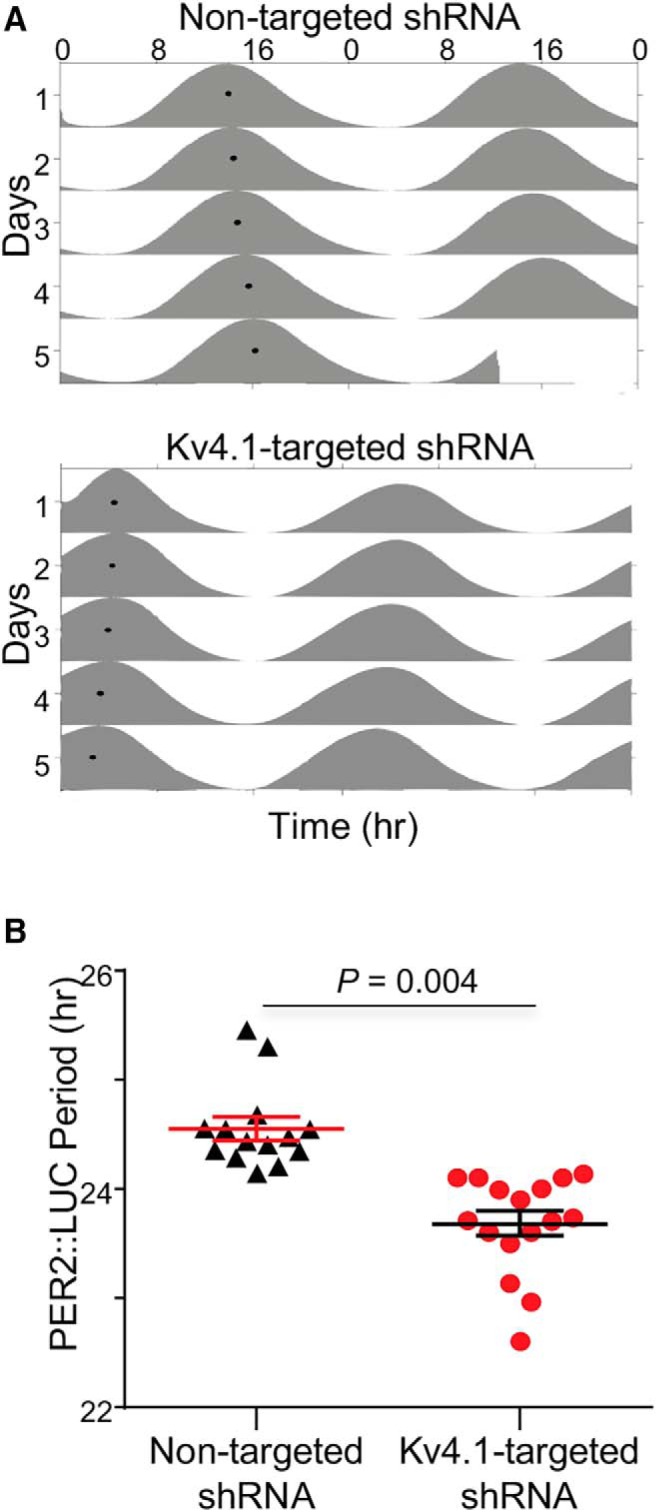 Figure 5.