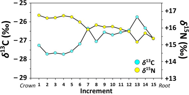 Fig. 5