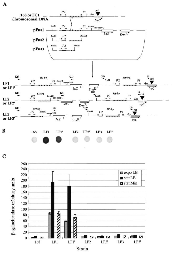 FIG. 6