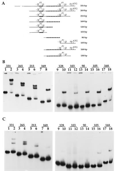 FIG. 5