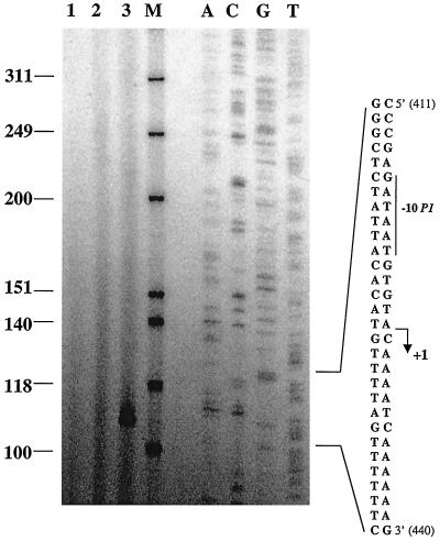 FIG. 7