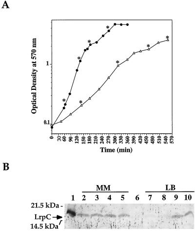 FIG. 8