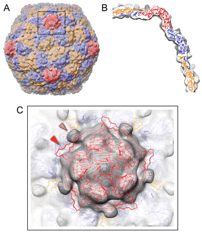 Figure 4