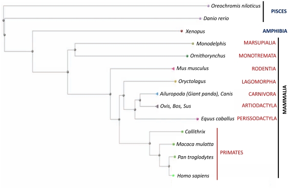 Fig. (3)