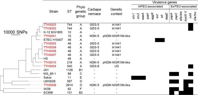 FIG 1