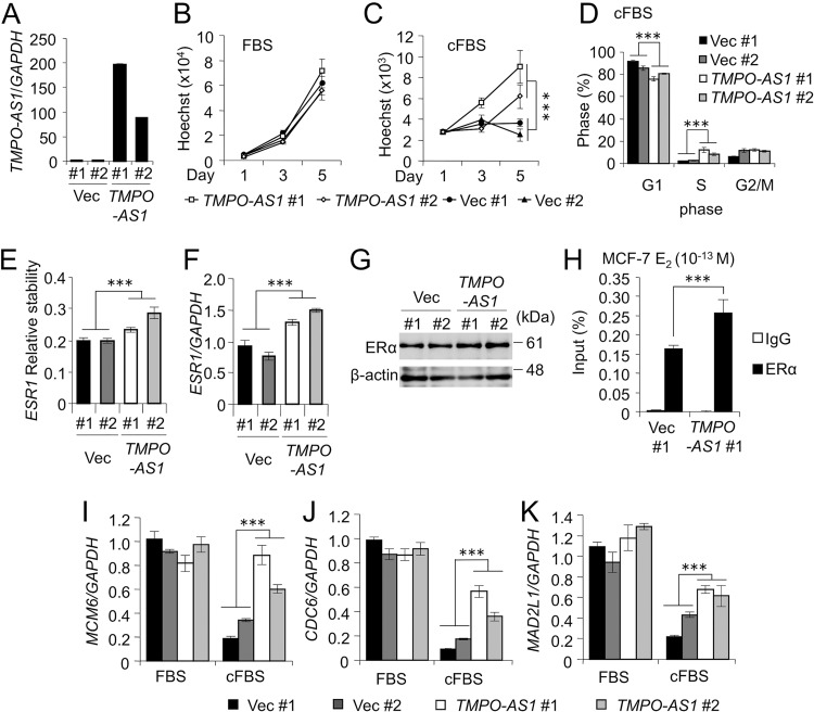 FIG 6