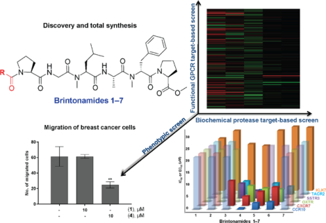 graphic file with name nihms-1597534-f0001.jpg
