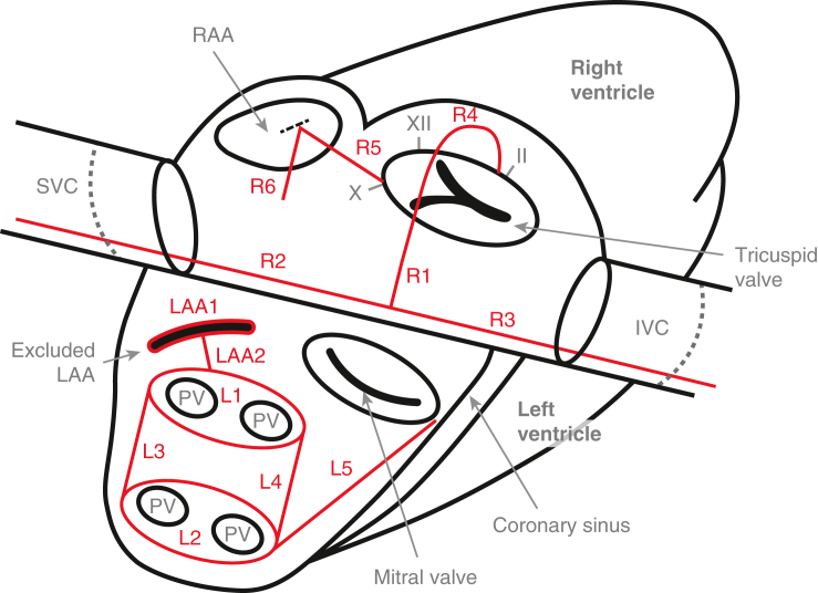 Figure 1