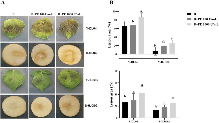 Figure 2