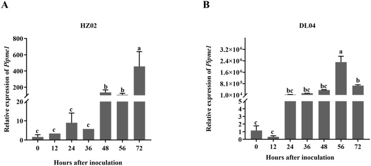 Figure 5