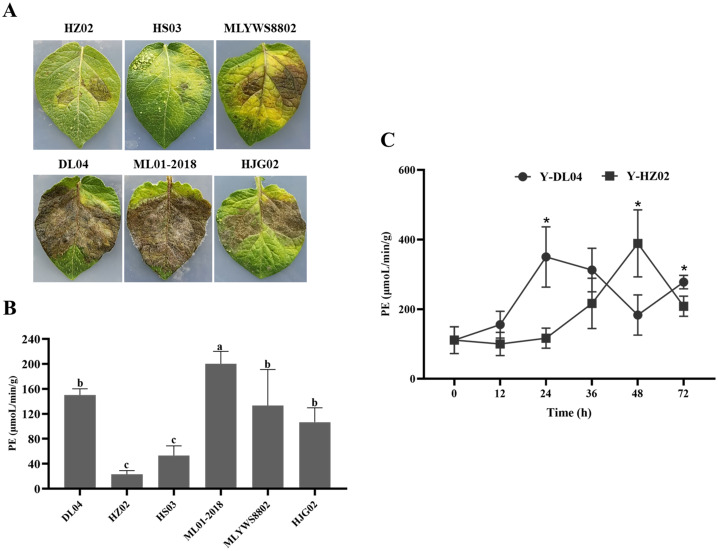 Figure 3