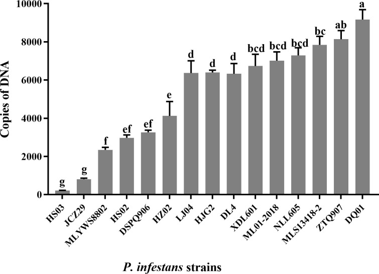 Figure 4