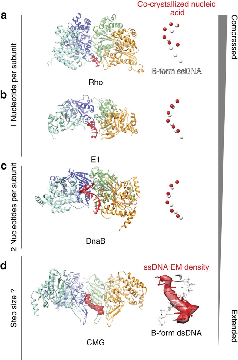 Figure 5