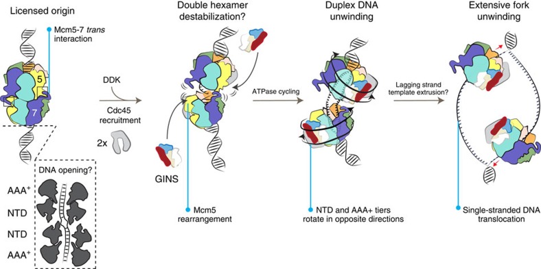 Figure 7