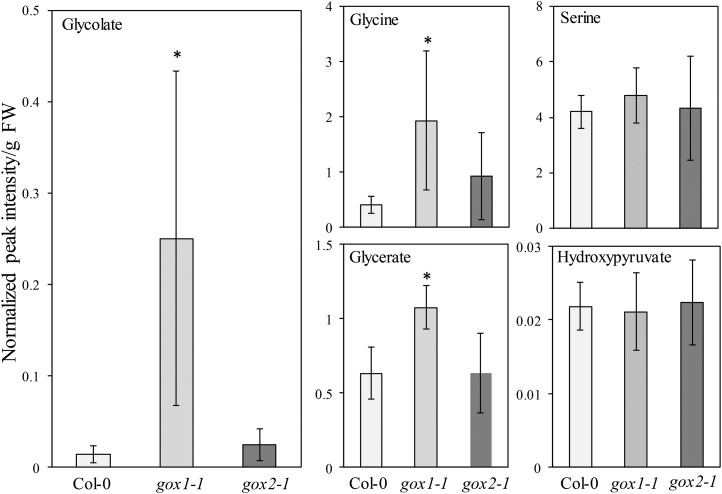 Figure 10.