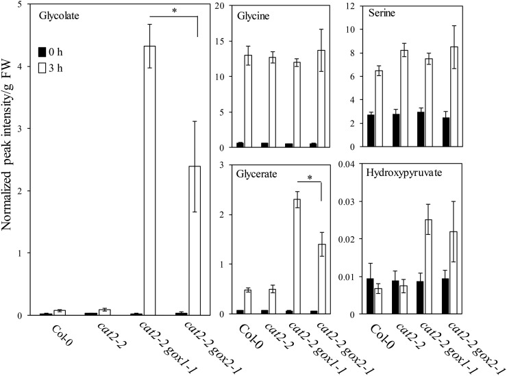 Figure 5.