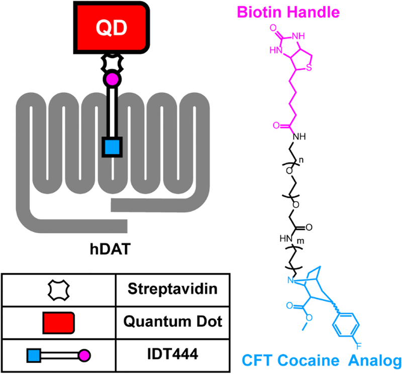 Figure 1: