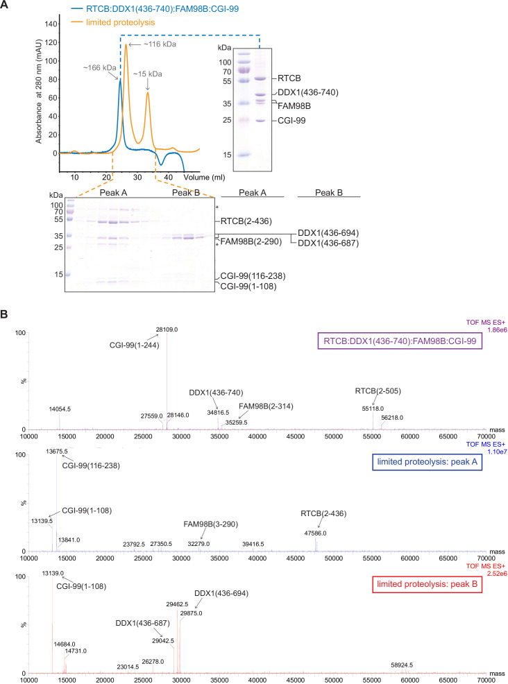 Figure 4—figure supplement 1.