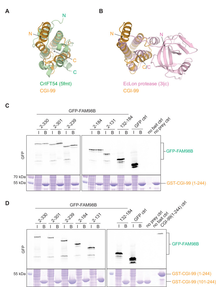 Figure 3—figure supplement 1.