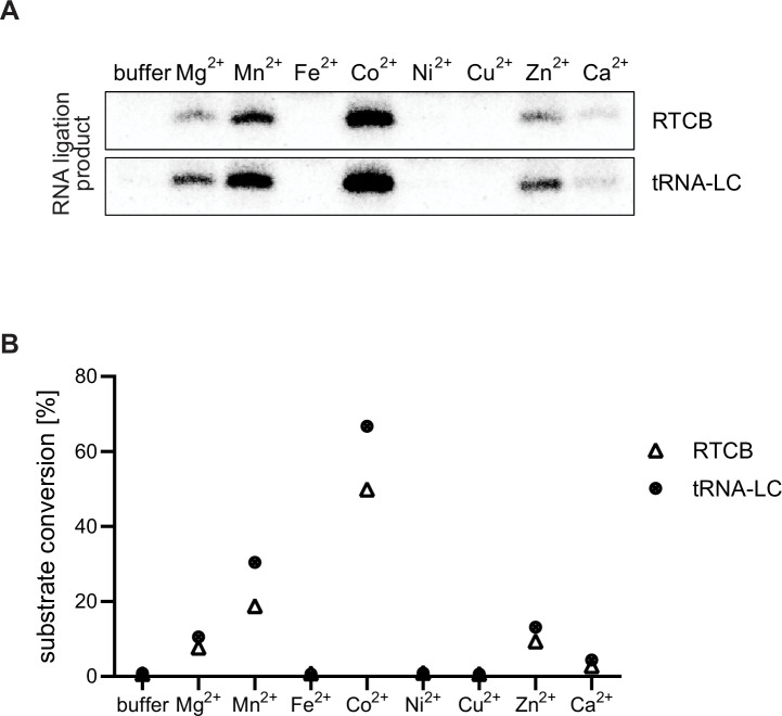 Figure 6—figure supplement 1.