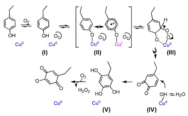 Scheme 8