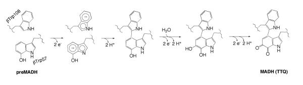 Scheme 5