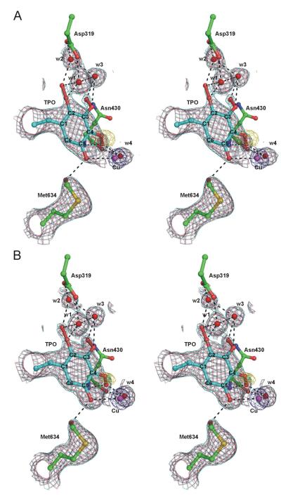 Figure 19