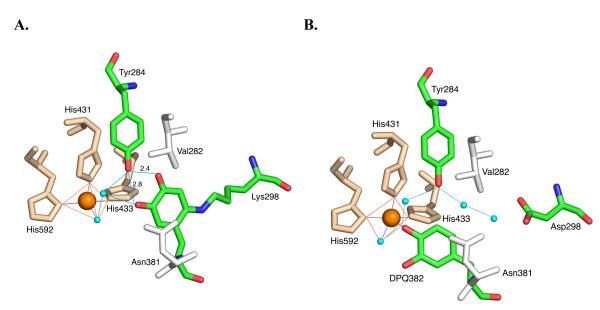 Figure 21