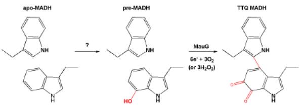 Scheme 4