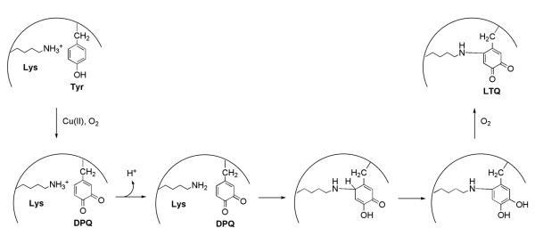 Scheme 9