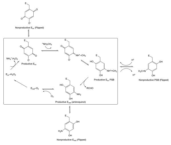 Scheme 7