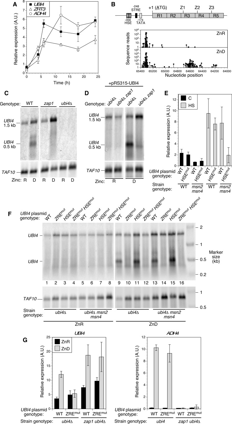 FIGURE 6.