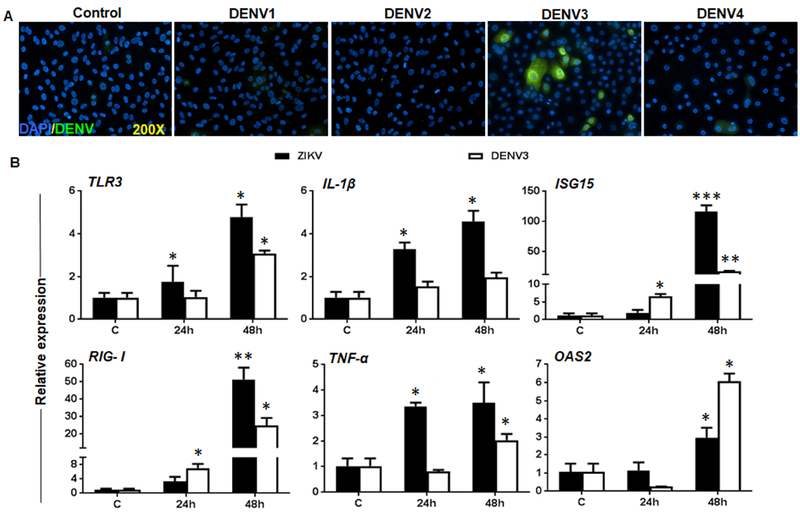 Figure 6.