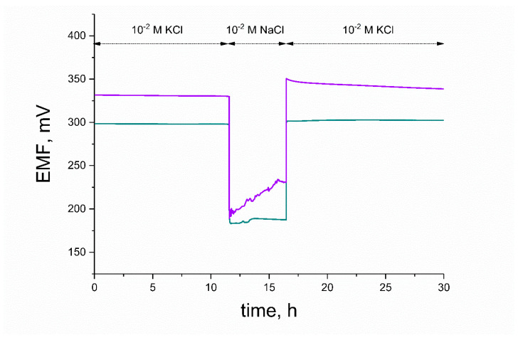 Figure 13