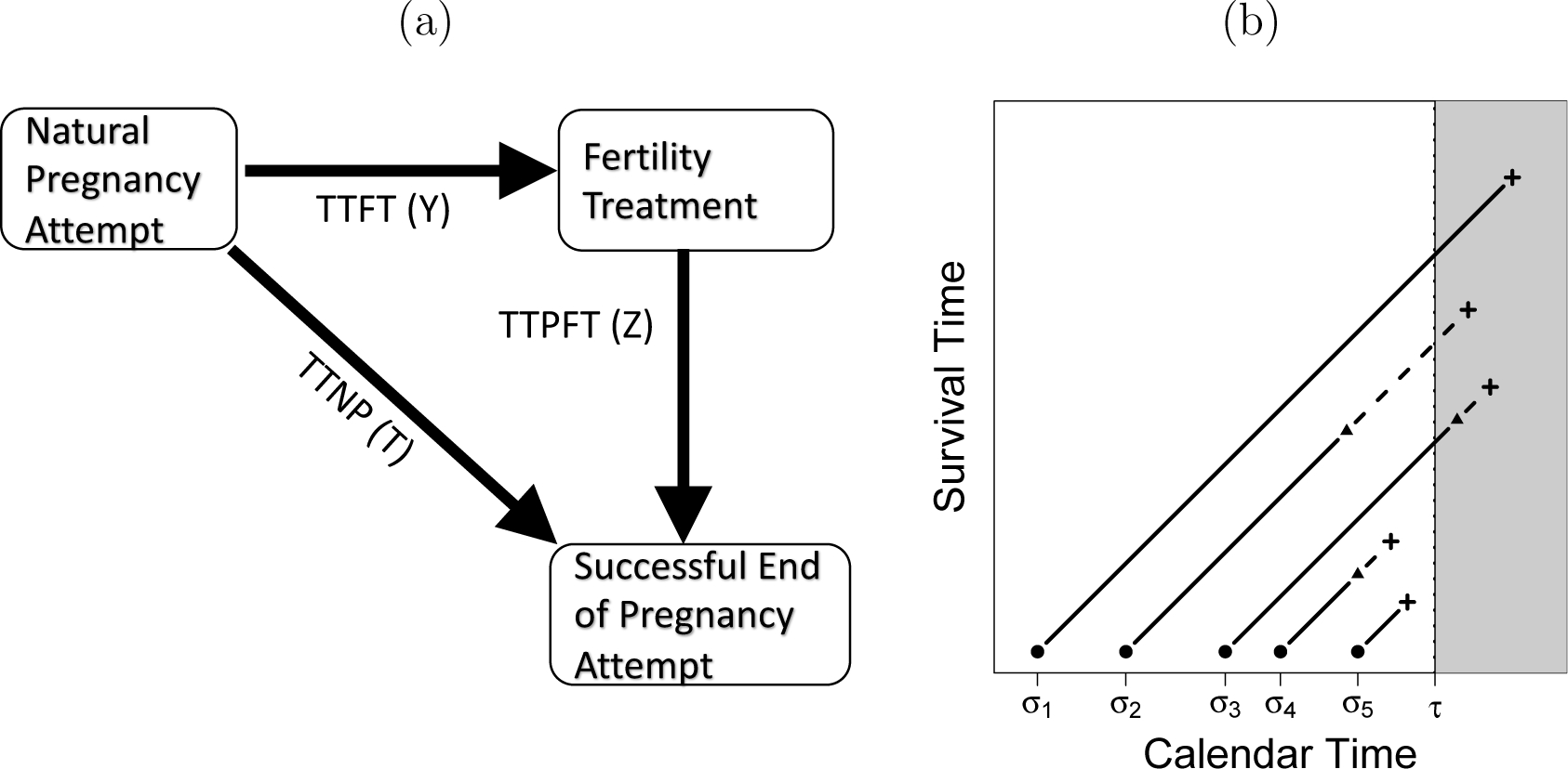 Figure 1: