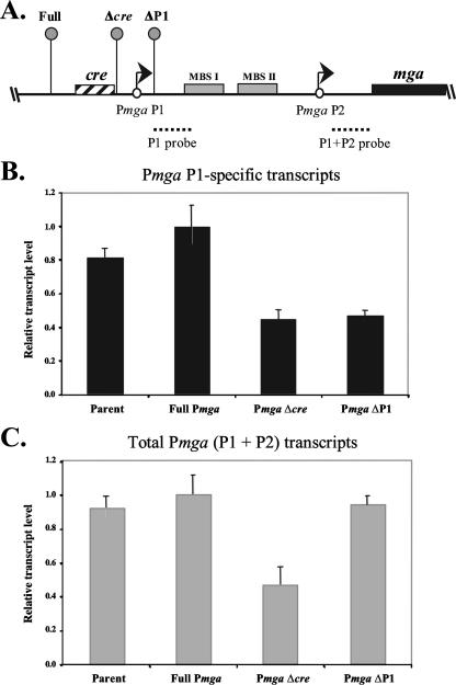 FIG. 4.