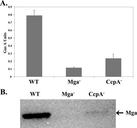 FIG. 6.