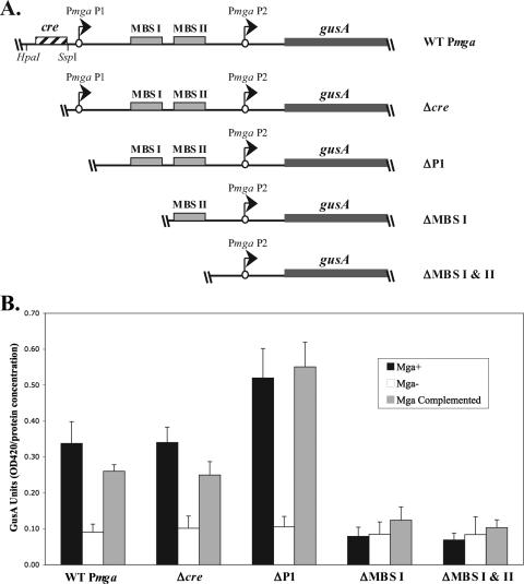 FIG. 3.