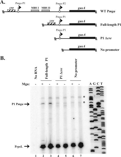 FIG. 5.