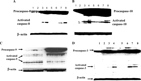 FIG. 5.