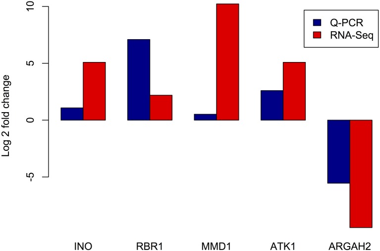 Figure 6